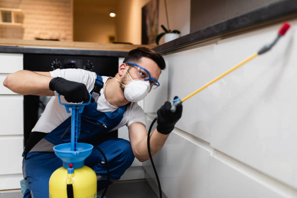Best Residential Pest Control  in Heber Springs, AR