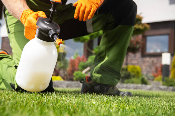 Best Termite Control Services  in Heber Springs, AR