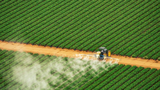 Best Pest Removal Services  in Heber Springs, AR